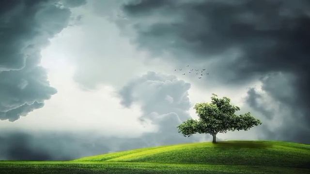 Takbire Ula Se Salam Tak-Rafyadain Part-14(e) Namaze Nabwi Dr Farhat Hashmi смотреть онлайн