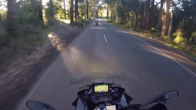 Mt Baw Baw Tourist road led by Ted, July 2023 смотреть онлайн