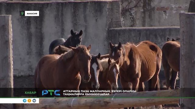 "Хабар" на РТС (23 октября) смотреть онлайн