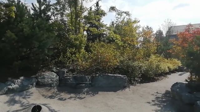 Кемерово прогулка по парк ангелов