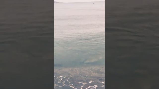 Море .ноябрь.Геленджик.Дух захватывает!