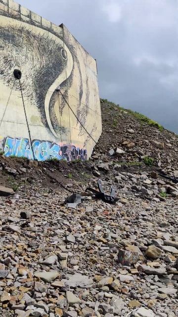 #море #красота #владивосток смотреть онлайн