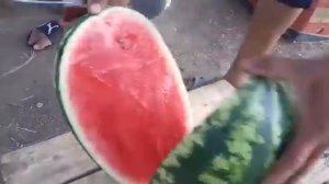 Арбуз Мелания F1