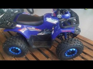 ATV Hunter 8 new premium 125сс глобус-экстрим