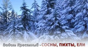 Вадим Крестный - Сосны, пихты, ели | Шансон Юга