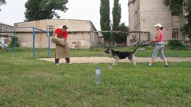 SHARLOTTA-AMALIYA KATTYVAL защита смотреть онлайн