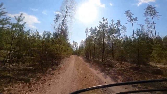 Весенний лес. Апрель смотреть онлайн