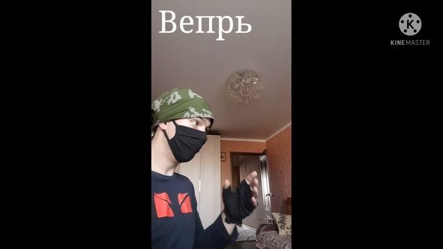 Вепрь и Даша Корейка смотреть онлайн
