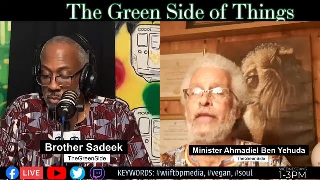 “What’s in it for the Black People?” Media presents "The Green Side of Things" with Bro. Sadeek… смотреть онлайн