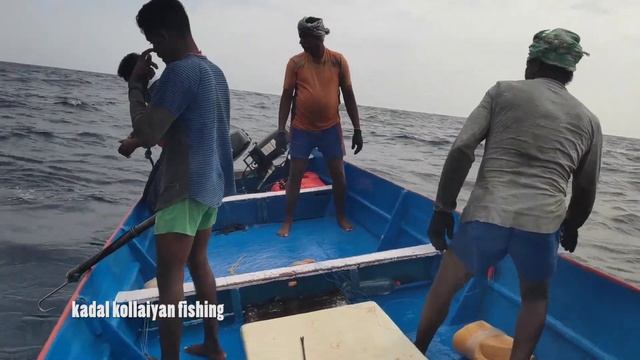 Monster Yellowfin Tuna Catching at Deep Sea !! смотреть онлайн