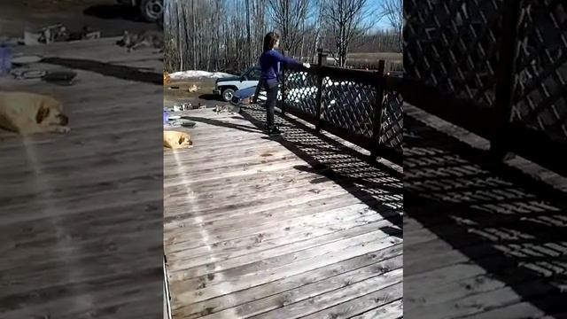 Chanson très drôle смотреть онлайн