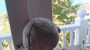 ВЛОГ КОТИКИ БАСИКИ ПОЕХАЛИ НА МОРЕ / БАСИКИ ЛЕТОМ НА МОРЕ #басик #БАСИКИНОВЫЕСЕРИИ