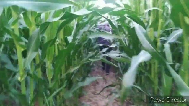 Проверка ловушек. Снимаем 25 июля 2021 смотреть онлайн