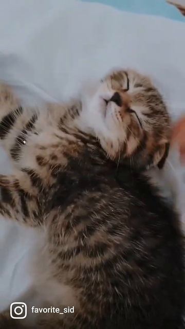 6 декабря 2021 г. смотреть онлайн