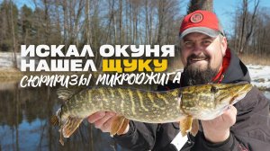 Рыбалка Новым Спиннингом на Микроджиг Искал Окуня а Нашел Щуку на Рачка Lucky John Curly Shrimp 2