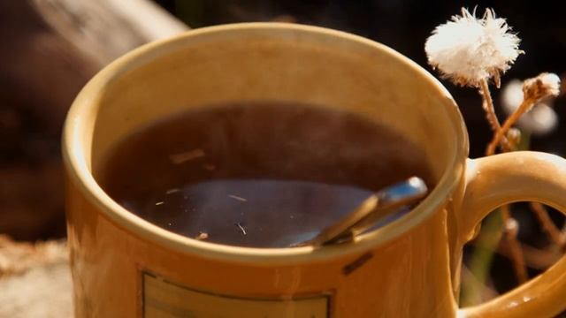 5 Amazing Teas That Will Help You Lose Weight Faster Than Ever! смотреть онлайн