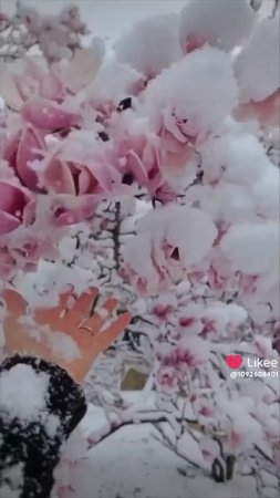 Снег ❄️ в апреле
