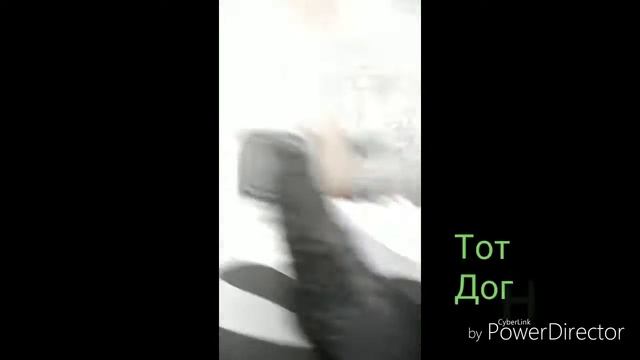 Шляйхи видео про любовь лошадок смотреть онлайн