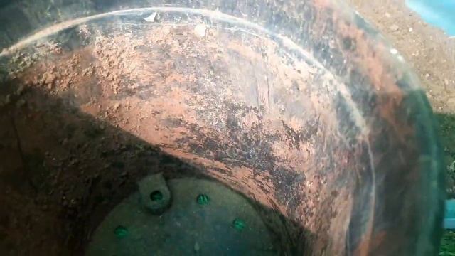 Repotting Syngonium plant,How to repot Indoor plants,ऐसे तैयार कीजिये गमले की मिट्टी