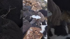 рыбака все хотят обидеть.