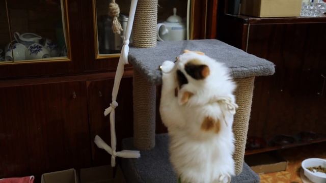 Как я провела Новый Год 2024. Влог из Владикавказа. Проект по DS, математика и отдых. смотреть онлайн