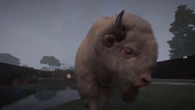 Salamol's Animals: Planet Zoo's White American Bison смотреть онлайн