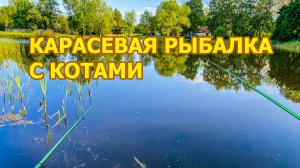 Карасевая рыбалка с котами и злющими комарами
