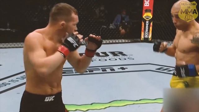 Самые БЕЗЖАЛОСТНЫЕ ЗАРУБЫ Петра Яна I Топ 5 самых зрелищных боёв Петра Яна смотреть онлайн