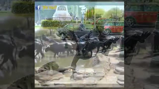 Искусство века смотреть онлайн