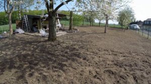 У Саши на даче. Германия.