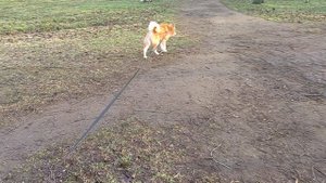 Всем Доброе солнечное утро!