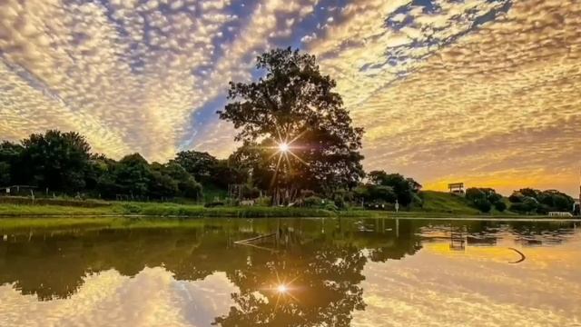 Аудиокітап. Өкініш (өмірде болған оқиға желісімен)