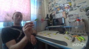 Диповые воблеры, работа по мелякам.