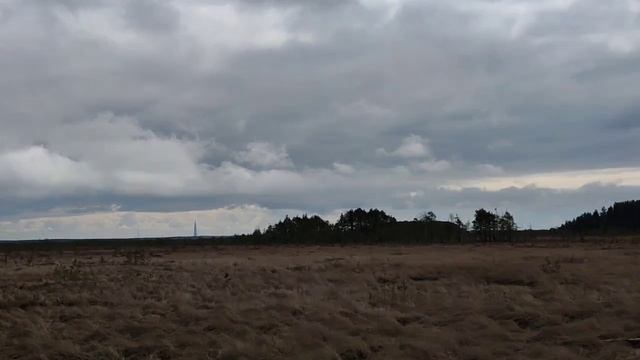 Экотропа Сестрорецкое болото