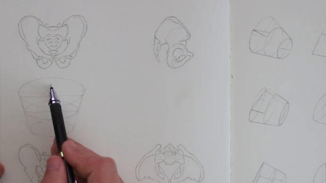 How To Draw The Pelvis - The Bucket Method (Study Session) смотреть онлайн