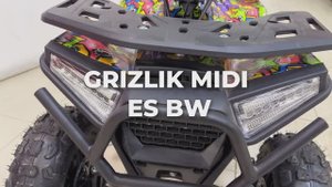 Детский бензиновый квадроцикл MOTAX GRIZLIK MIDI ES BW