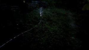 Поливалка из пластиковой бутылки копеечная