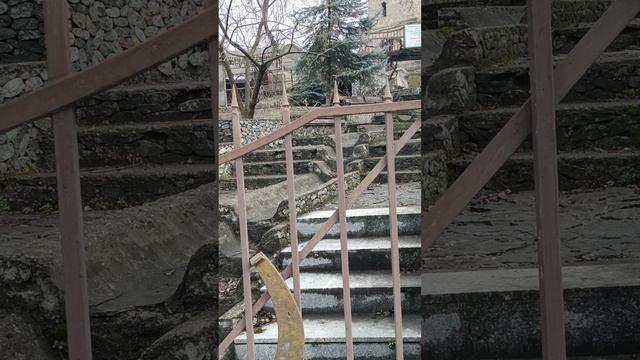1000322351.mp4 НАЛЬЧИК. сан.ЦЕЛЕБНЫЕ ВОДЫ. март 2024