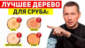 ЛУЧШЕЕ ДЕРЕВО  для СРУБА? Сосна, лиственница, кедр или ель – сравнение для ДОМА и БАНИ