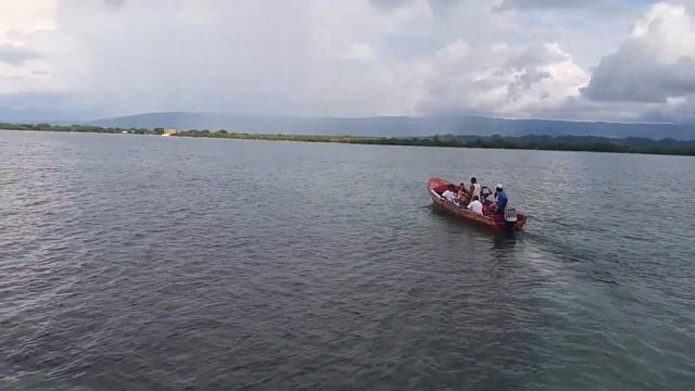 Beautiful views from pelican bar Jamaica смотреть онлайн
