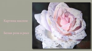 Картина маслом – Белая роза в росе | Oil Painting - White Rose in the Dew