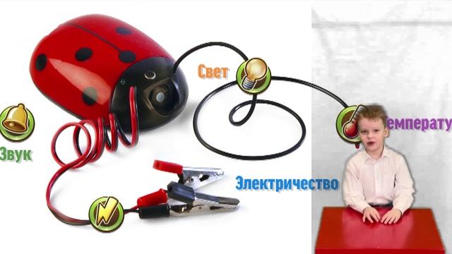 1.021_МАДОУ _Детский сад № 453_ г. Н.Новгород смотреть онлайн