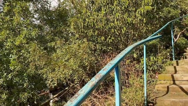 Партенит. Парк санатория 