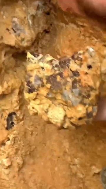 Logan Paul pulls out an insane Amethyst cluster at my private location in South Carolina! смотреть онлайн