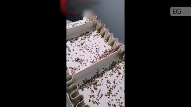 Оборудование для производства хлопьев SJMC смотреть онлайн