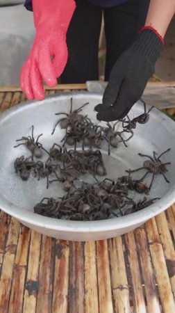 Приготовление особых насекомых во фритюре и вкусная еда