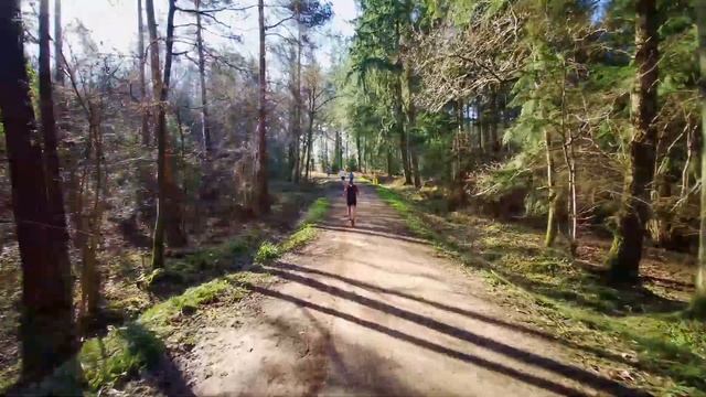5KM Forest Trail Run | Virtual Run / Walk ASMR | Treadmill Workout Scenery | Alice Holt Surrey 24mi