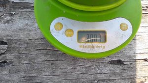 Уборка урожая арбуза эксперимент.