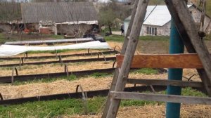 Грядки Овсинского