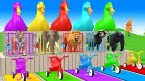 Ух ты! Длинная Скользкая Горка с 3D Животными: Корова, Слон, Горилла, Гиппопотам и Тигр ждут тебя